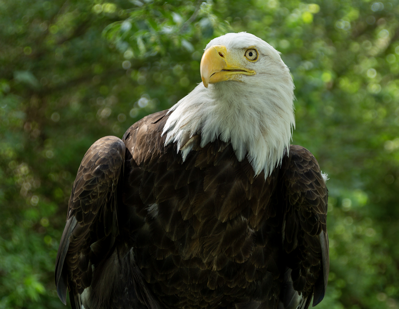 Manchester Memorial Day Ceremony 5-29-23