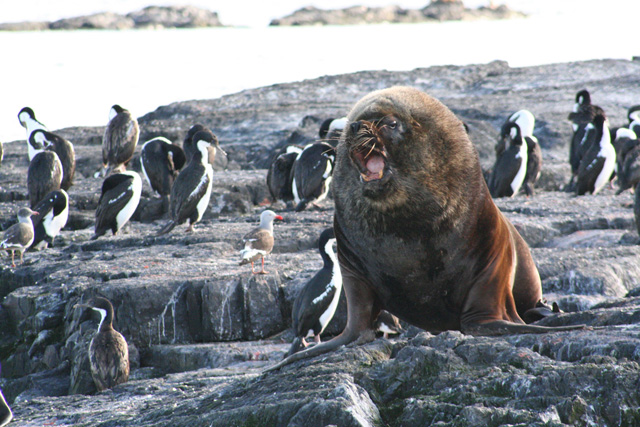 Antarctica and South America